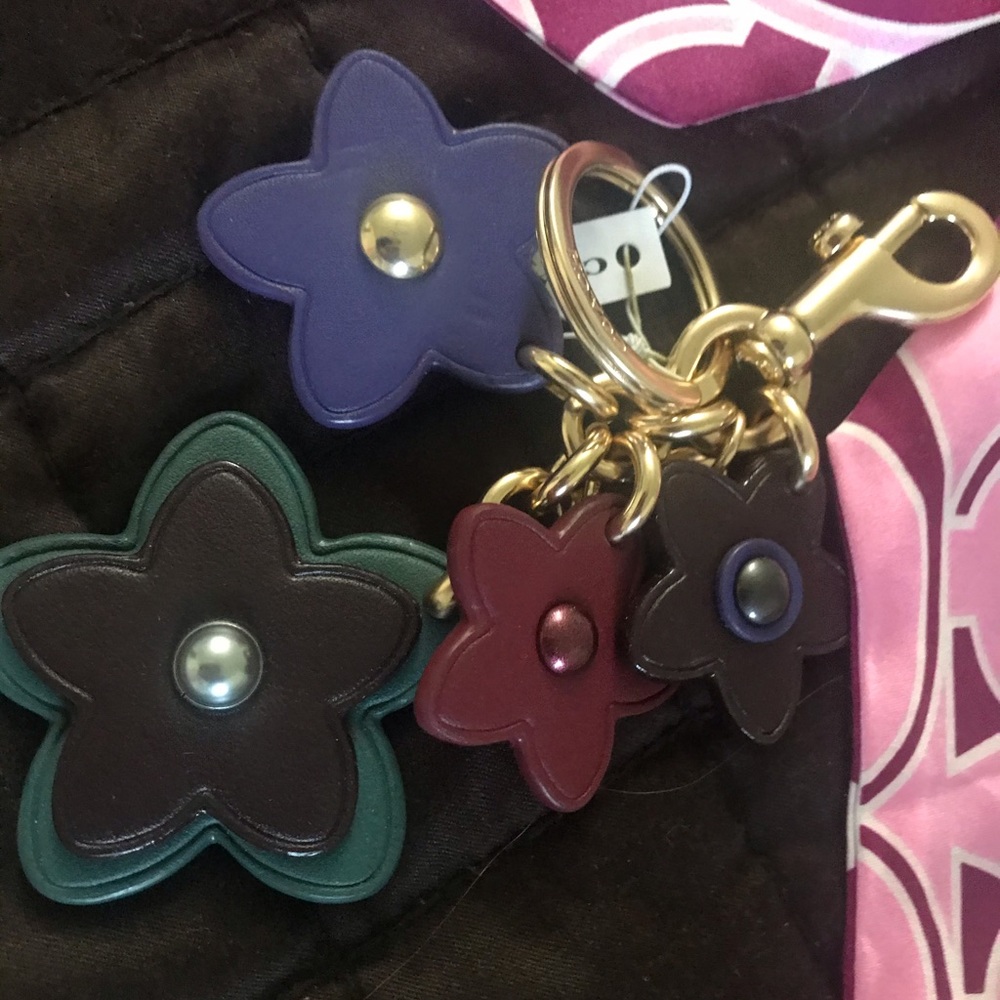 Coach key chain